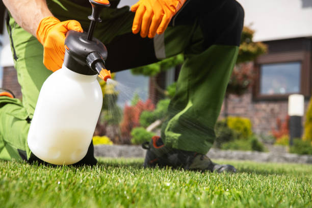 Best Affordable Pest Control Services  in Mountain Lake Park, MD