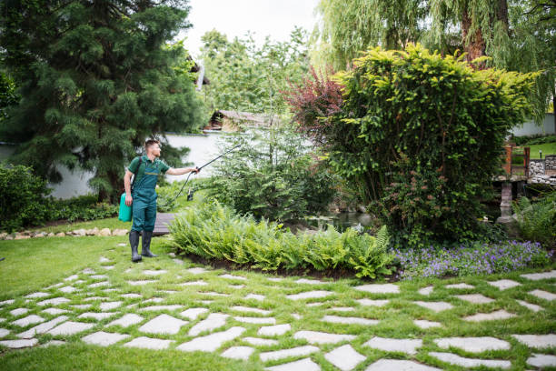 Best Ant Control Services  in Mountain Lake Park, MD