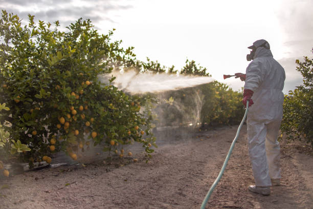 Pest Control for Restaurants in Mountain Lake Park, MD