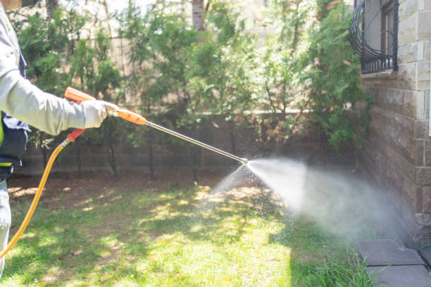 Best Pest Removal Services  in Mountain Lake Park, MD