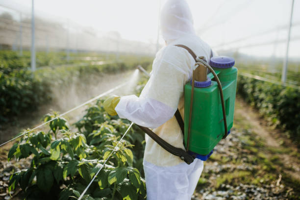Best Mosquito Control Services  in Mountain Lake Park, MD